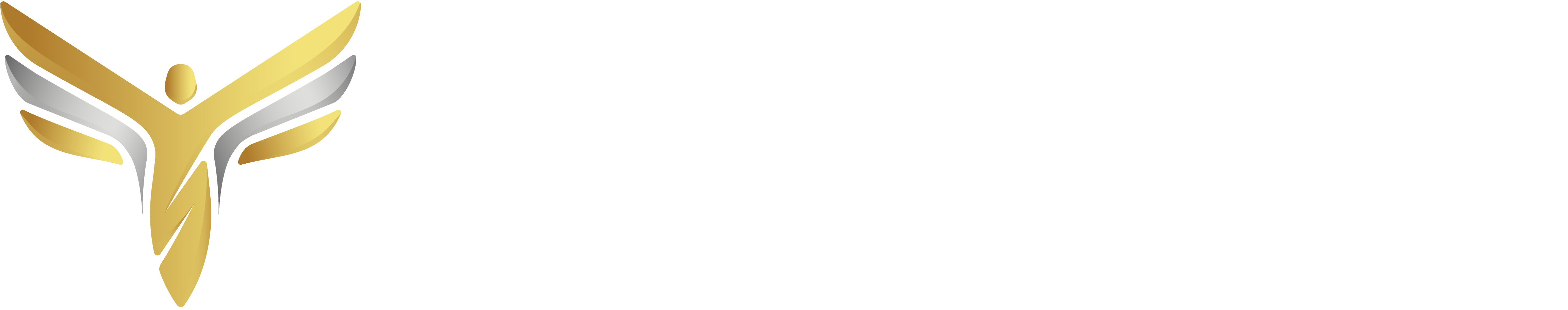 Creation graphique - scandium buqsiness club - logo